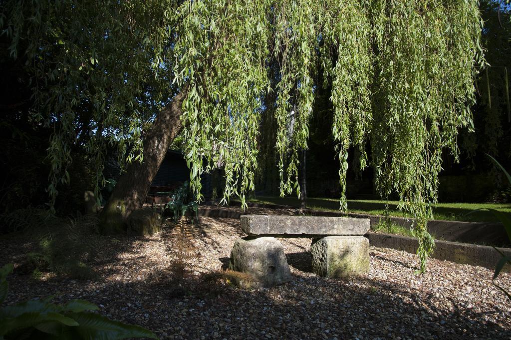 Foxhills Of Shanklin Eksteriør billede
